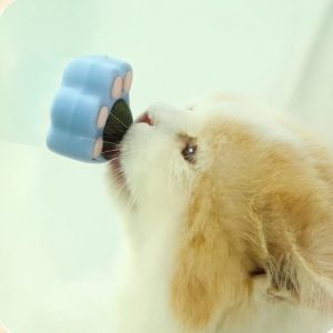 Bola De Catnip Para Gatos